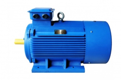 Электродвигатель  АИР315M8 (Электромашина) 1081 - лапы