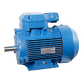 Электродвигатели взрывозащищенные Электродвигатели взрывозащищенные