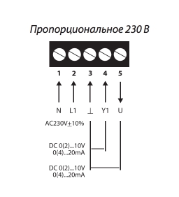 4_230_V.jpg