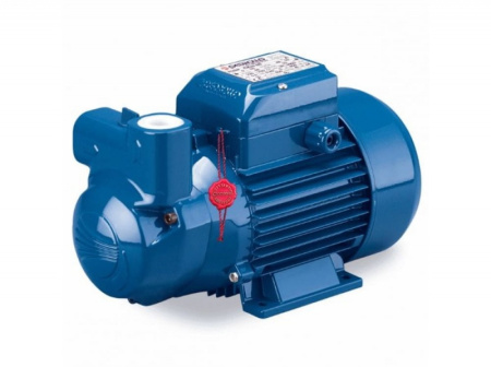 Насос самовсасывающий Pedrollo CKRm 80-E