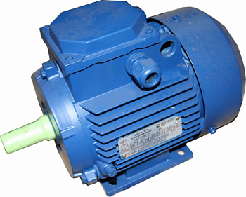 Электродвигатель АИР90LА8 (Могилев)